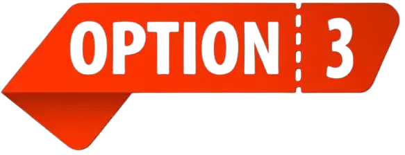 Option 3